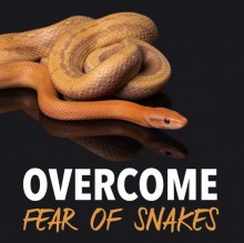 Overcome Fear Of Snakes Hypnosis