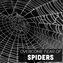 Overcome Fear Of Spiders Hypnosis