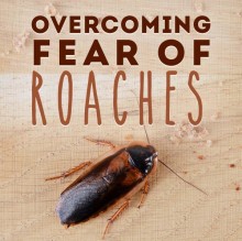 Overcoming Fear Of Roaches Hypnosis